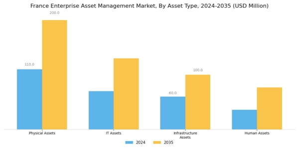 France Enterprise Asset Management Market Segment Image 1