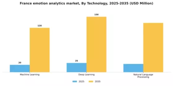 France Emotion Analytics Market Segment Image 3