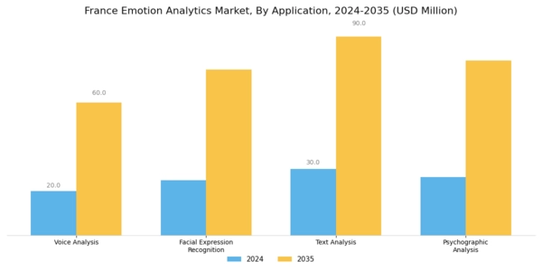 France Emotion Analytics Market Segment Image 0