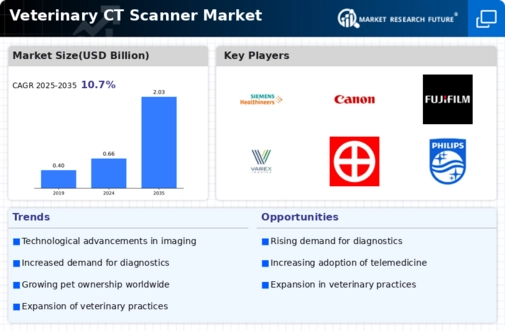 Veterinary CT Scanner Market Infographic