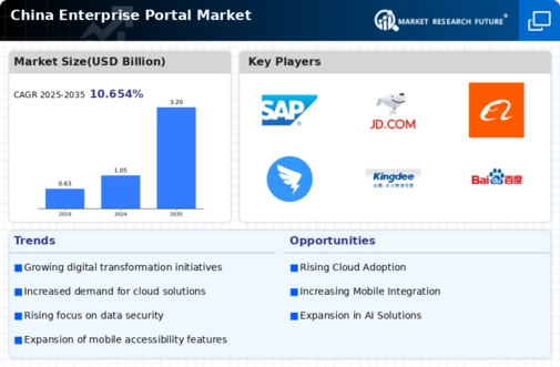 China Enterprise Portal Market Infographic