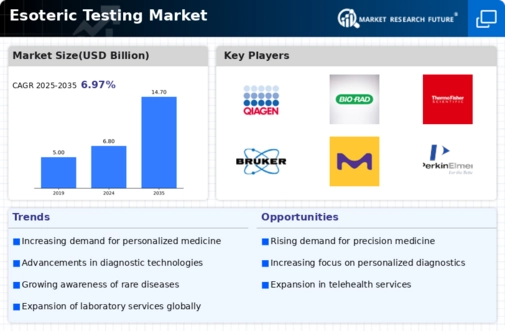 Esoteric Testing Market Research Report – Forecast to 2032 Infographic
