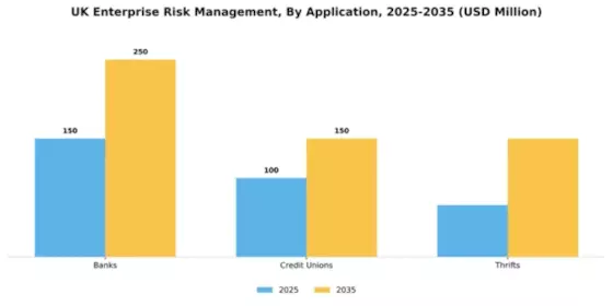 UK Enterprise Risk Management Market Segment Image 0