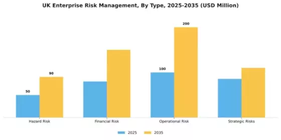 UK Enterprise Risk Management Market Segment Image 1