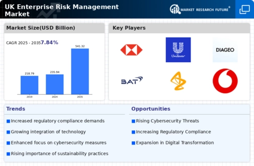 UK Enterprise Risk Management Market Infographic