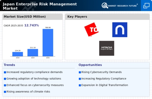 Japan Enterprise Risk Management Market Infographic