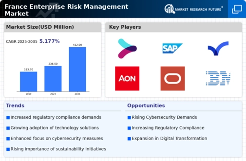 France Enterprise Risk Management Market Infographic