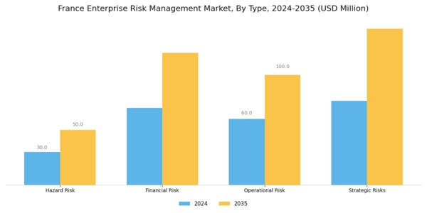 France Enterprise Risk Management Market Segment Image 0