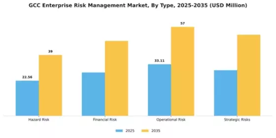 GCC Enterprise Risk Management Market Segment Image 1