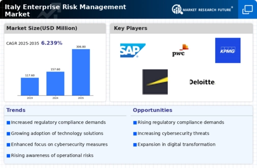 Italy Enterprise Risk Management Market Infographic