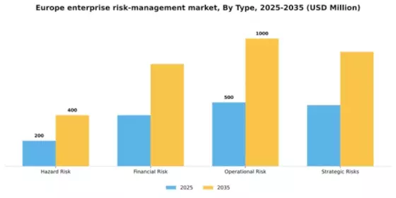 Europe Enterprise Risk Management Market Segment Image 1