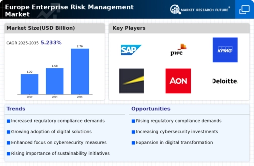 Europe Enterprise Risk Management Market Infographic