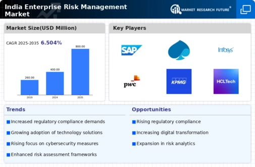 India Enterprise Risk Management Market Infographic