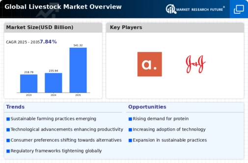 Livestock Market  Infographic