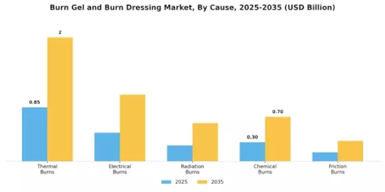 Burn Gel Burn Dressing Market  Segment Image 0