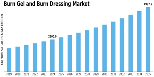 Burn Gel Burn Dressing Market  Size