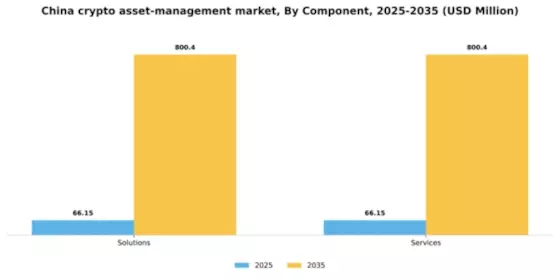 China Crypto Asset Management Market Segment Image 1