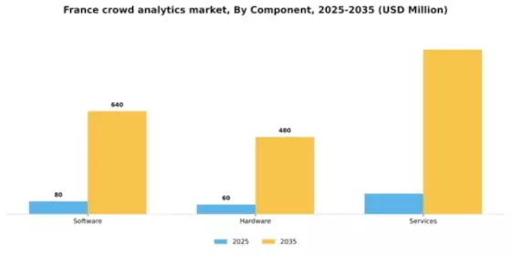 France Crowd Analytics Market Segment Image 1