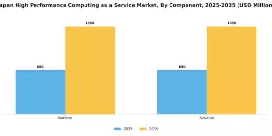 Japan High Performance Computing As A Service Market Segment Image 0