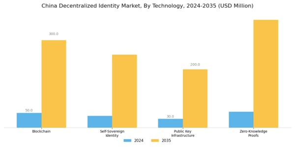 China Decentralized Identity Market Segment Image 0