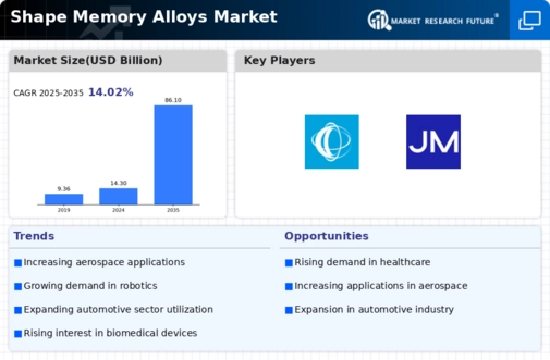 Shape Memory Alloys Market Infographic