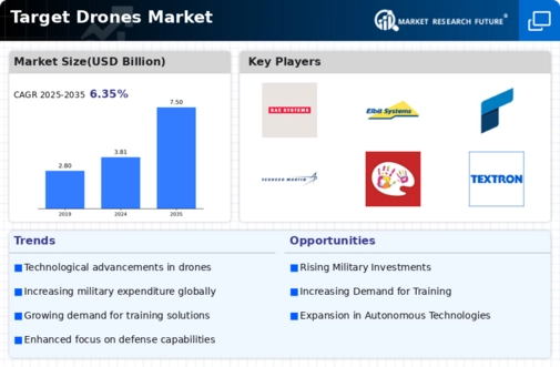 Target Drones Market Infographic
