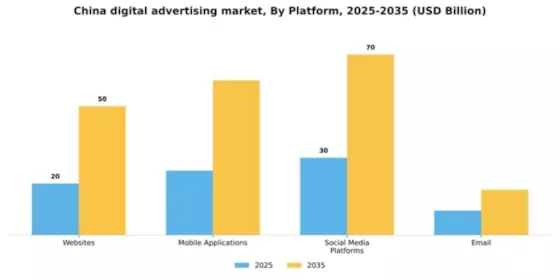 China Digital Advertising Market Segment Image 1