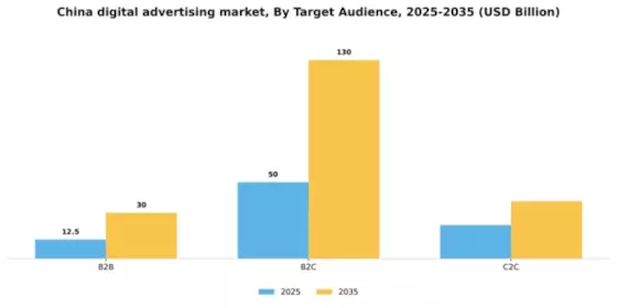 China Digital Advertising Market Segment Image 2