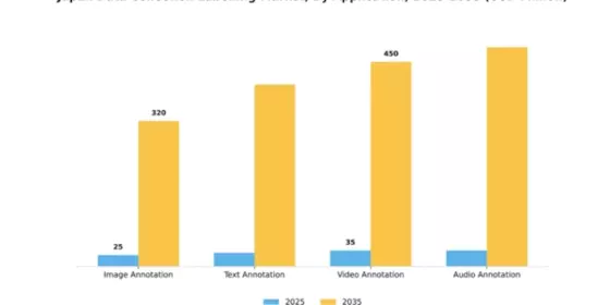Japan Data Collection Labelling Market Segment Image 0