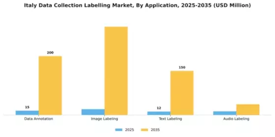 Italy Data Collection Labelling Market Segment Image 0