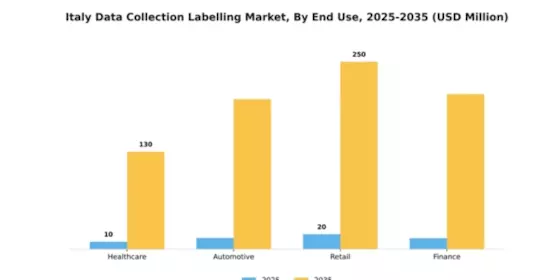 Italy Data Collection Labelling Market Segment Image 1