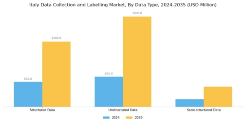 Italy Data Collection Labelling Market Segment Image 2