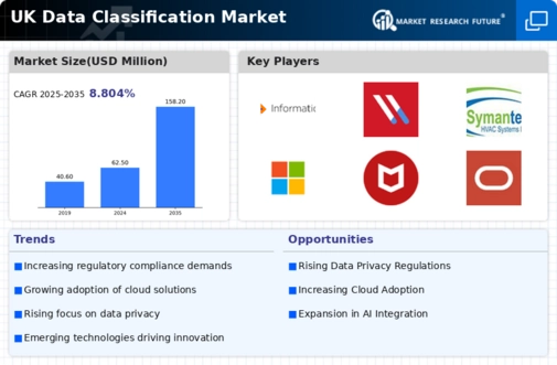 UK Data Classification Market Infographic