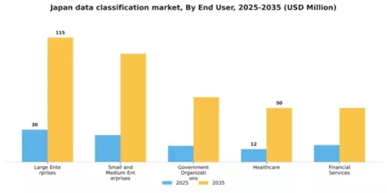 Japan Data Classification Market Segment Image 2