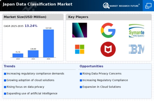 Japan Data Classification Market Infographic