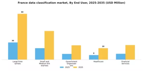 France Data Classification Market Segment Image 2