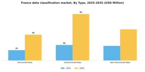France Data Classification Market Segment Image 3