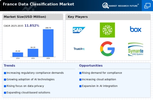 France Data Classification Market Infographic
