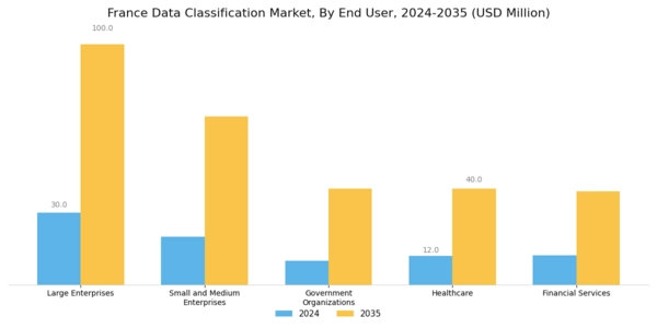 France Data Classification Market Segment Image 2