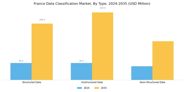 France Data Classification Market Segment Image 3