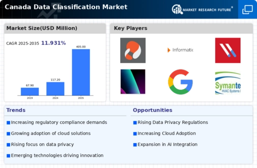 Canada Data Classification Market Infographic