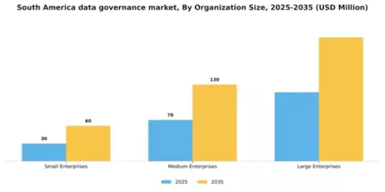 South America Data Governance Market Segment Image 2