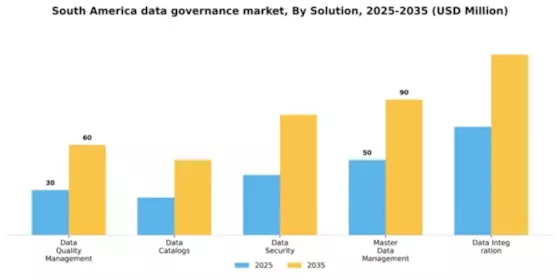 South America Data Governance Market Segment Image 3