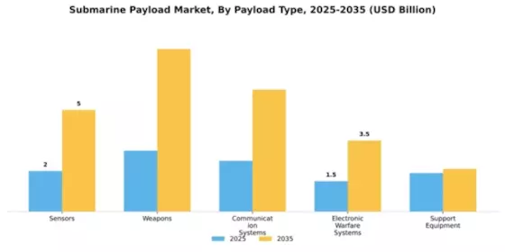 Submarine Payload Market Segment Image 2