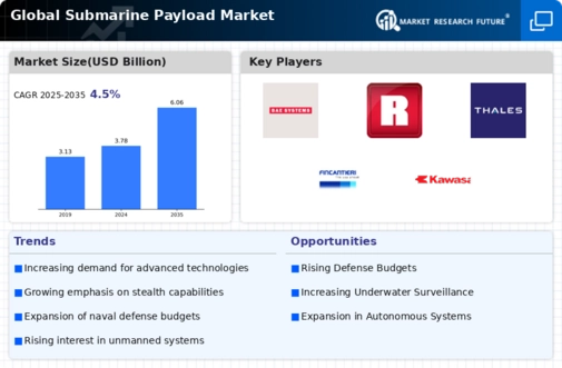 Submarine Payload Market Infographic