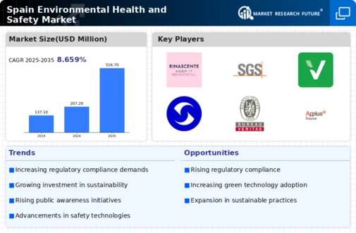 Spain Environment Health Safety Market Infographic