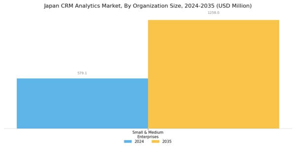 Japan Crm Analytics Market Segment Image 2