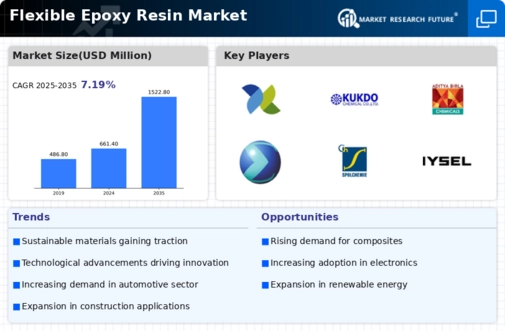 Flexible Epoxy Resin Market Infographic
