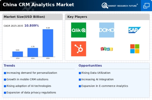 China Crm Analytics Market Infographic