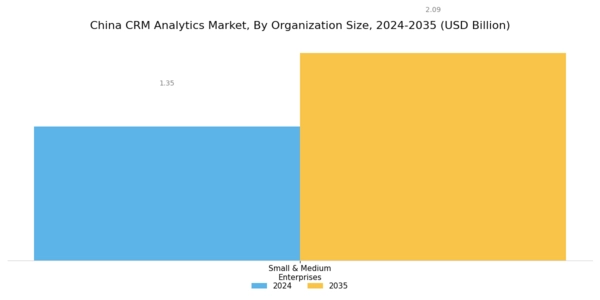 China Crm Analytics Market Segment Image 2